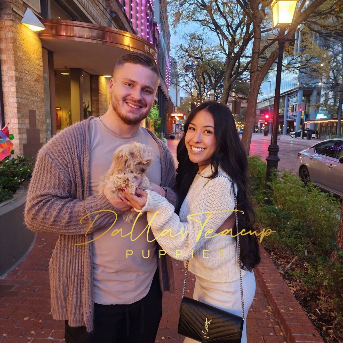 Cream Korean Maltipoo being held by his new owners.