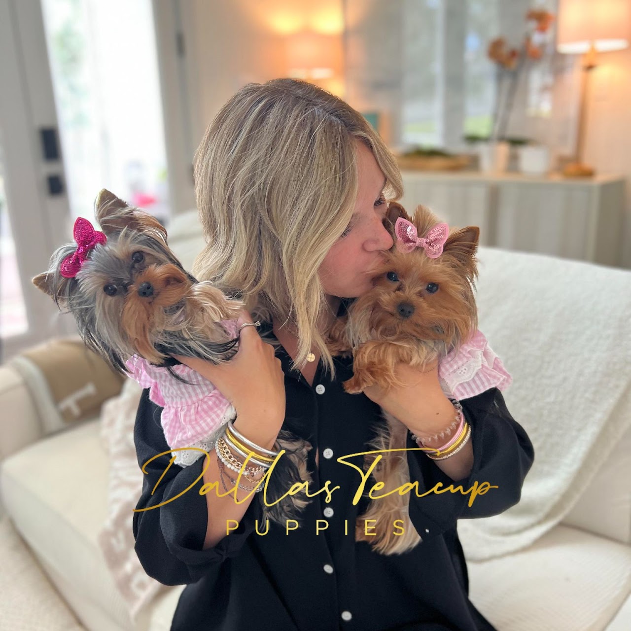 Two beautiful Yorkies being kissed by their owner.